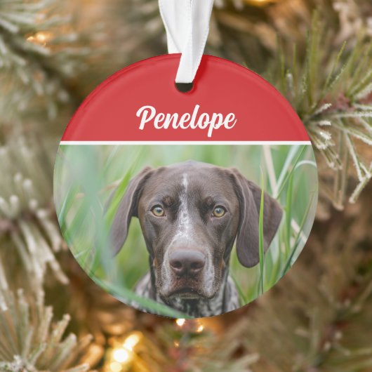 Cute Shorthair Pointer Dog Holiday Christmas Photo オーナメント (ツリー)