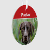 Cute Shorthair Pointer Dog Holiday Christmas Photo オーナメント (正面)