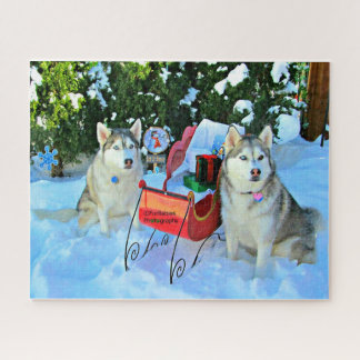 Cute Siberian Huskies Christmas Puzzle ジグソーパズル