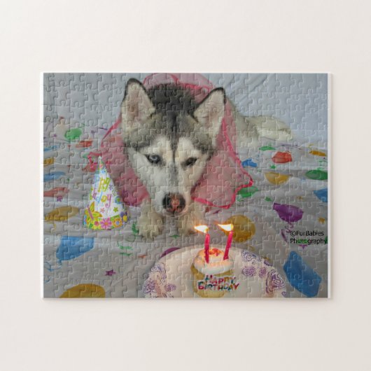 Cute Siberian Husky Birthday Puzzle ジグソーパズル (横)