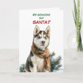 Cute Siberian Husky Dog Looks for Santa シーズンカード (正面)