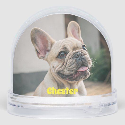 Cute Simple First Name Pet Dog Photo Typography (裏面)