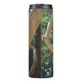 Cute Sleeping Koala in Tree タンブラー (裏面)