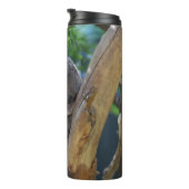 Cute Sleeping Koala in Tree タンブラー (回転右)