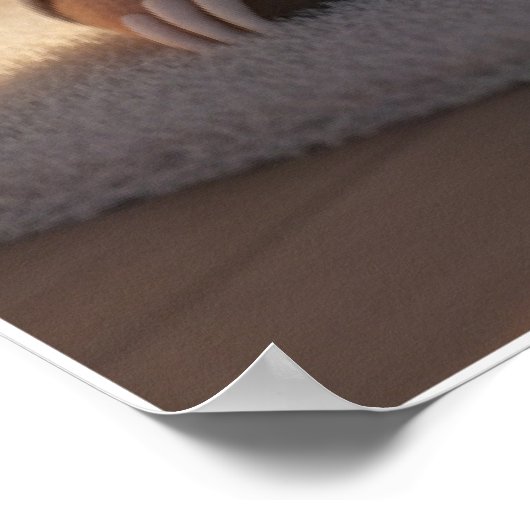 Cute Sleepy Sloth Pajamas Art Poster ポスター (角)