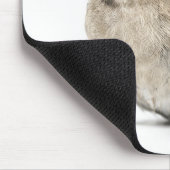 Cute Small Garden Bird Photo マウスパッド (コーナー)