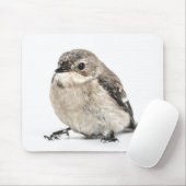 Cute Small Garden Bird Photo マウスパッド (マウス)