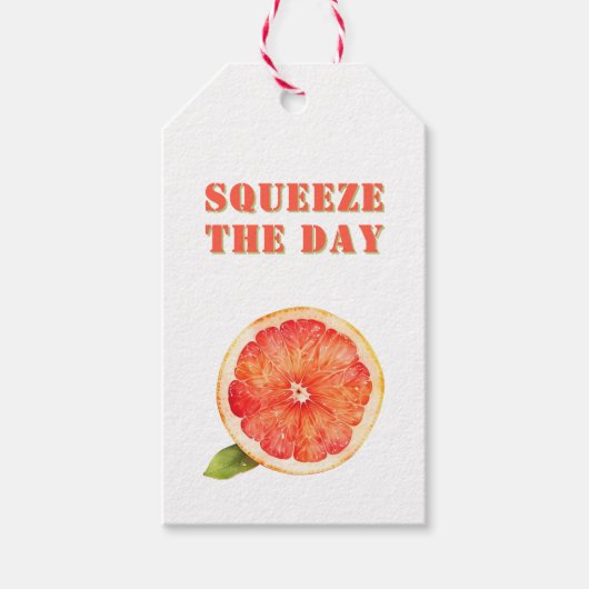 Cute Squeeze the Day Citrus Grapefruit Summer ギフトタグ (正面)