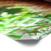 Cute Squirrel on Grass Poster ポスター (角)