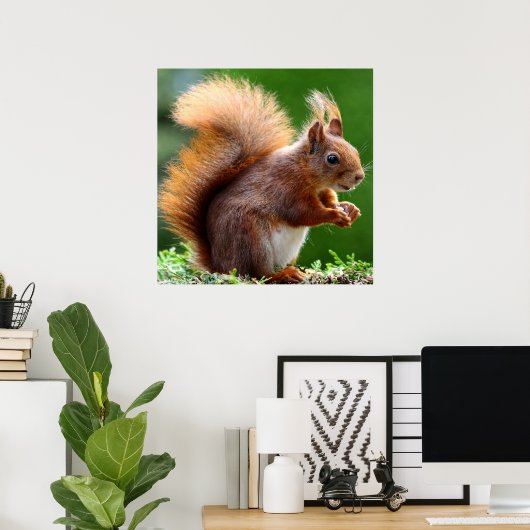 Cute Squirrel on Grass Poster ポスター (ホームオフィス)