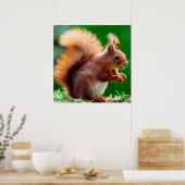 Cute Squirrel on Grass Poster ポスター (キッチン)
