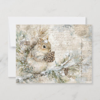 Cute squirrel on the pine branch シーズンカード