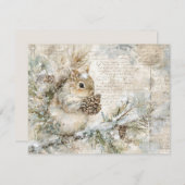 Cute squirrel on the pine branch シーズンカード (正面/裏面)