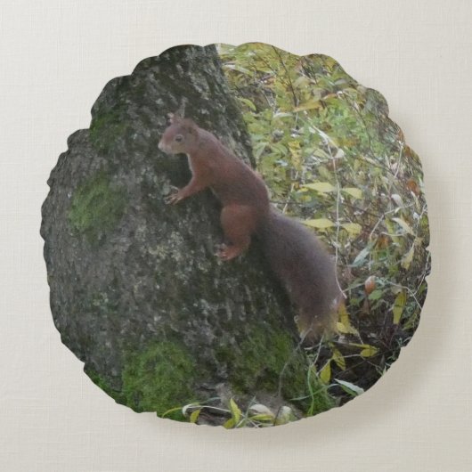 Cute Squirrel on Tree Trunk Round Pillow ラウンドクッション (正面)