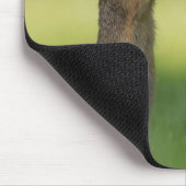 Cute Squirrel Smelling Dandelion Flower マウスパッド (コーナー)