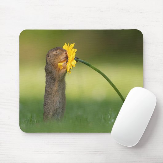 Cute Squirrel Smelling Dandelion Flower マウスパッド (マウス)