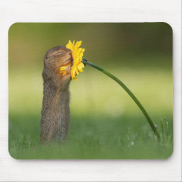 Cute Squirrel Smelling Dandelion Flower マウスパッド