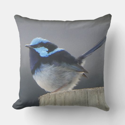 Cute Superb Fairywren Cushion クッション (正面)