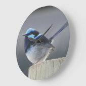 Cute Superb Fairywren Wall Clock ラージ壁時計 (傾斜)