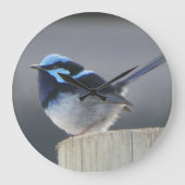Cute Superb Fairywren Wall Clock ラージ壁時計 (正面)
