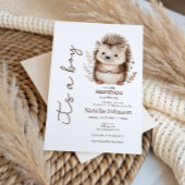 Cute Sweet Little Hedgehog Its A Boy Baby Shower 招待状