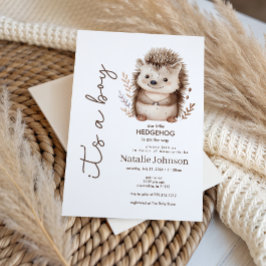 Cute Sweet Little Hedgehog Its A Boy Baby Shower 招待状