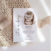 Cute Sweet Little Hedgehog Its A Boy Baby Shower 招待状