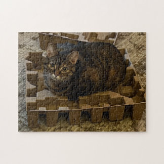 Cute Tabby Cat in Vacuum Insert Box Puzzle ジグソーパズル