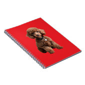  Cute Teacup Poodle Red Folder ノートブック (右側)