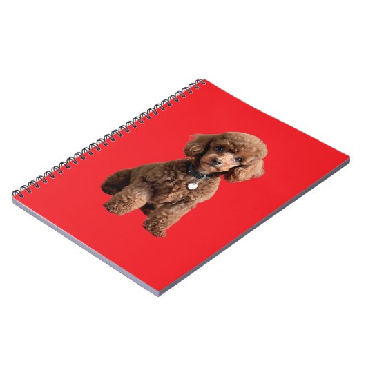  Cute Teacup Poodle Red Folder ノートブック (左側)