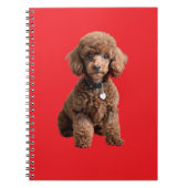  Cute Teacup Poodle Red Folder ノートブック (正面)