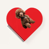  Cute Teacup Poodle Red Folder ノートブック (正面)