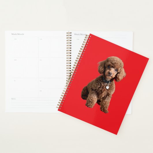  Cute Teacup Poodle Red Folder プランナー手帳 (ディスプレー)