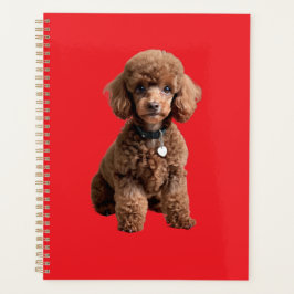 Cute Teacup Poodle Red Folder プランナー手帳