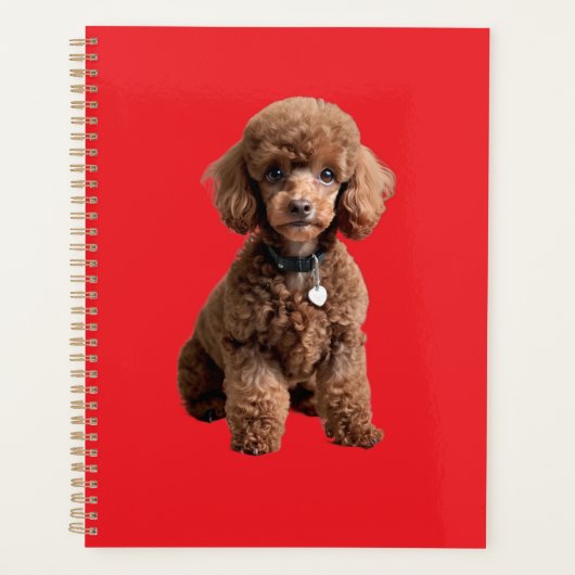 Cute Teacup Poodle Red Folder プランナー手帳 (正面)