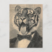 Cute Tiger in a Tux Collage ポストカード (正面)