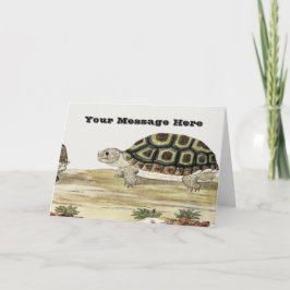 Cute Turtle Illustration Folded Greeting Card カード