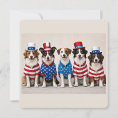 Cute USA Dogs in Star-Spangled Hats & Shirts