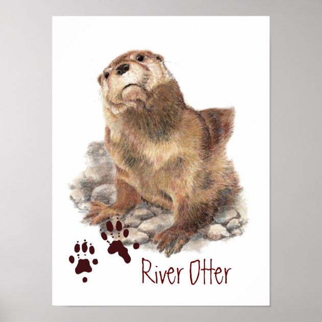 Otter 動物ポスター イラスト ポップアートポスター
