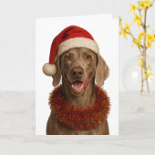 Cute Weimaraner Christmas card カード (黄色い花)