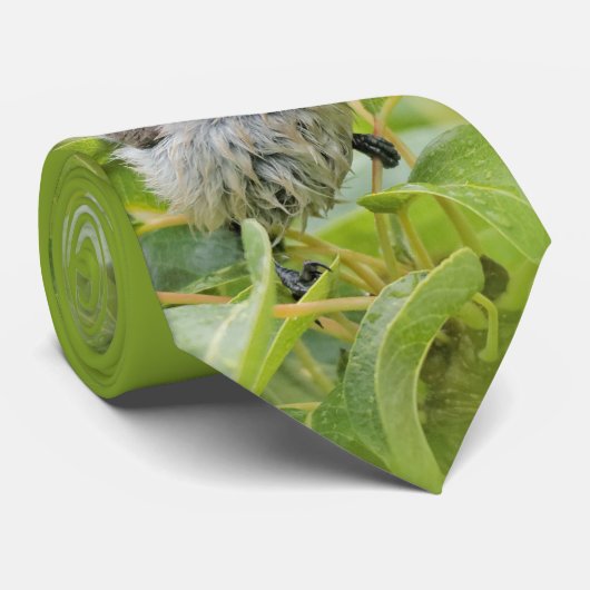 Cute Wet Wee Bushtit on the Laurel ネクタイ (ロール)