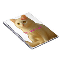 Cute White Cat "I'm Just a Girl" Aesthetic