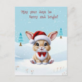 Cute White Cat in Snow Christmas Postcard シーズンポストカード (正面)