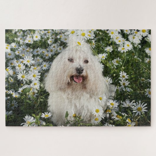 Cute White Dog Sitting Spring White Flower Garden ジグソーパズル (横)