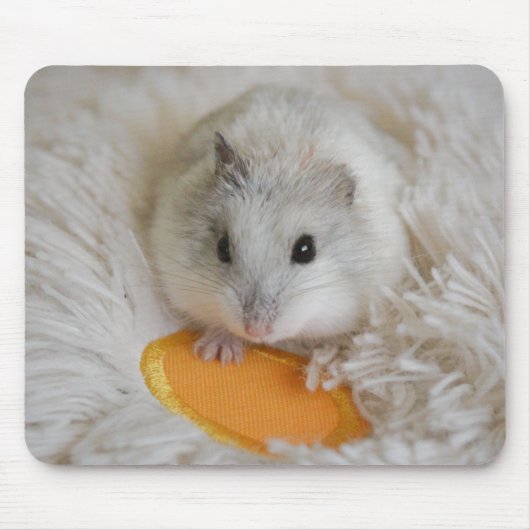 Cute White Dwarf Hamster Pet マウスパッド (正面)