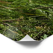 Cute white puppy ポスター (コーナー)