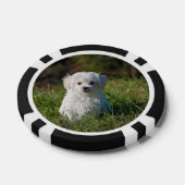 Cute white puppy ポーカーチップ (シングル)