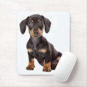 Cute Wiener Dog Doxin Lover Gift Dog Mom Dachshund マウスパッド (マウス)