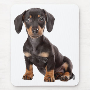 Cute Wiener Dog Doxin Lover Gift Dog Mom Dachshund マウスパッド