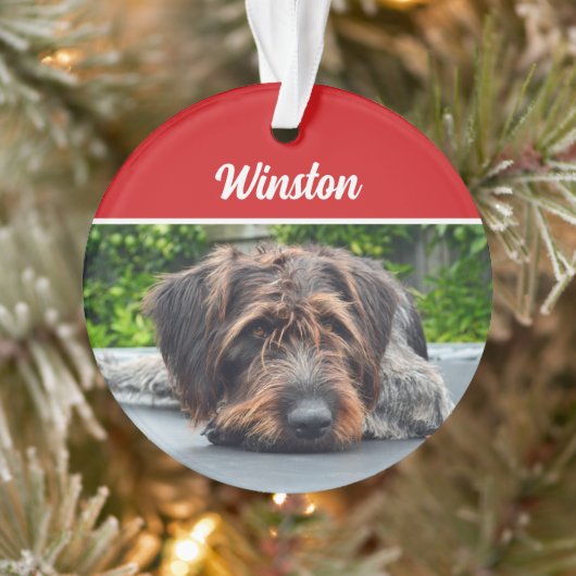 Cute Wirehair Pointer Dog Holiday Christmas Photo オーナメント (ツリー)